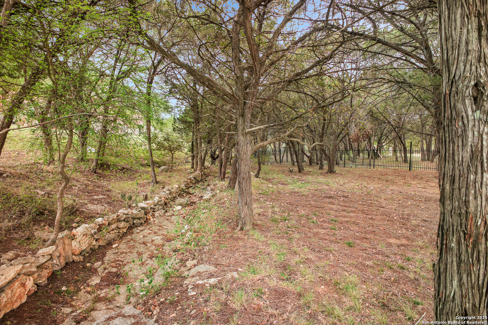 954 Santa Cruz New Braunfels TX 78132