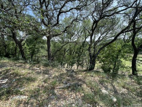 24635 Cliff Line San Antonio TX 78257
