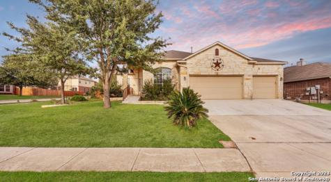1223 Sandhill Crane New Braunfels TX 78130
