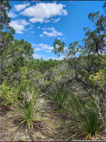 268 Scenic Hills Canyon Lake TX 78133