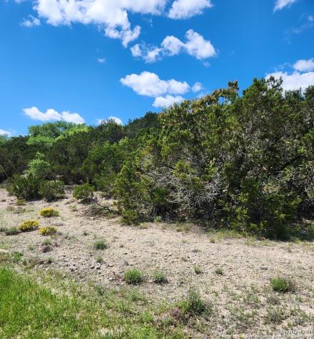 268 Scenic Hills Canyon Lake TX 78133