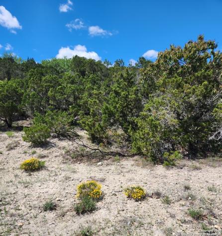 268 Scenic Hills Canyon Lake TX 78133