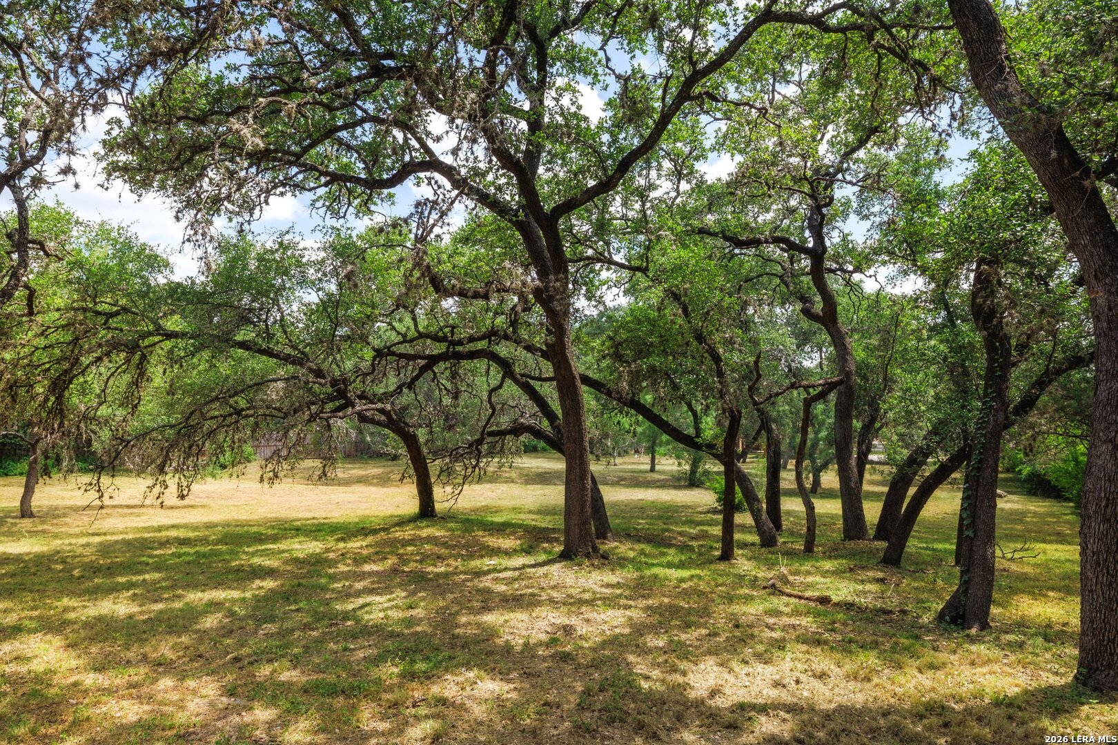 304 Hill Country Lane San Antonio TX 78232