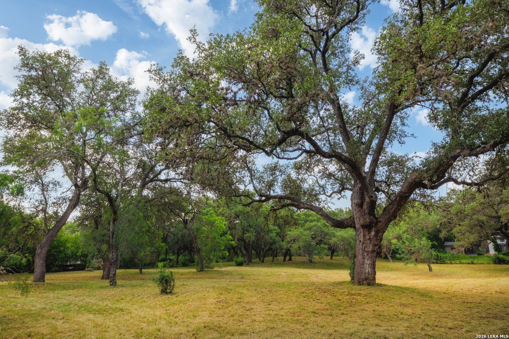 304 Hill Country Lane San Antonio TX 78232