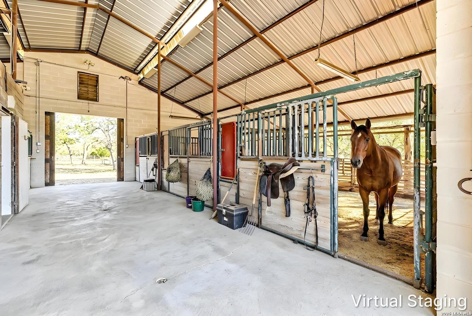 5261 W Ammann Road Bulverde TX 78163