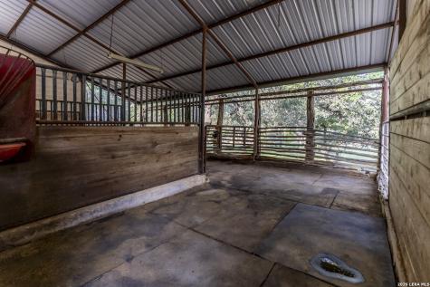 5261 W Ammann Road Bulverde TX 78163