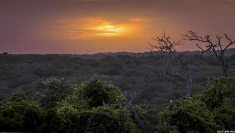 5261 W Ammann Road Bulverde TX 78163