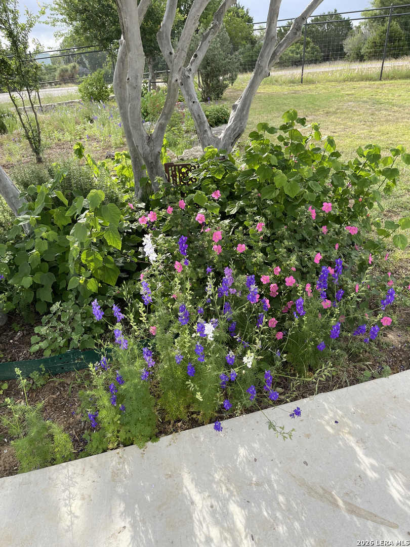 317 White Oak Trail Boerne TX 78006