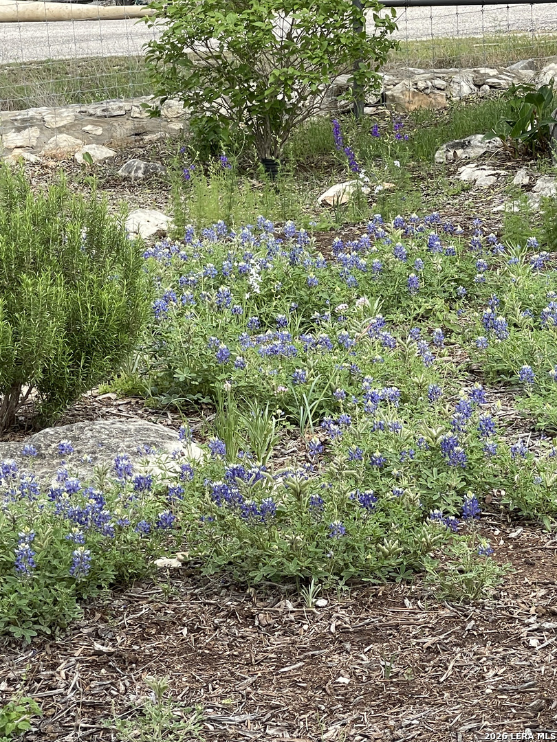317 White Oak Trail Boerne TX 78006