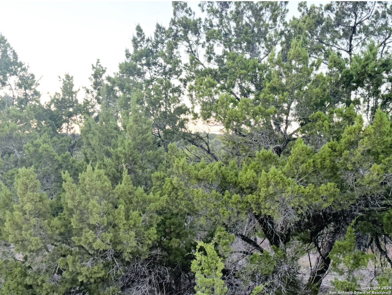 124 Camp Verde Bandera TX 78003