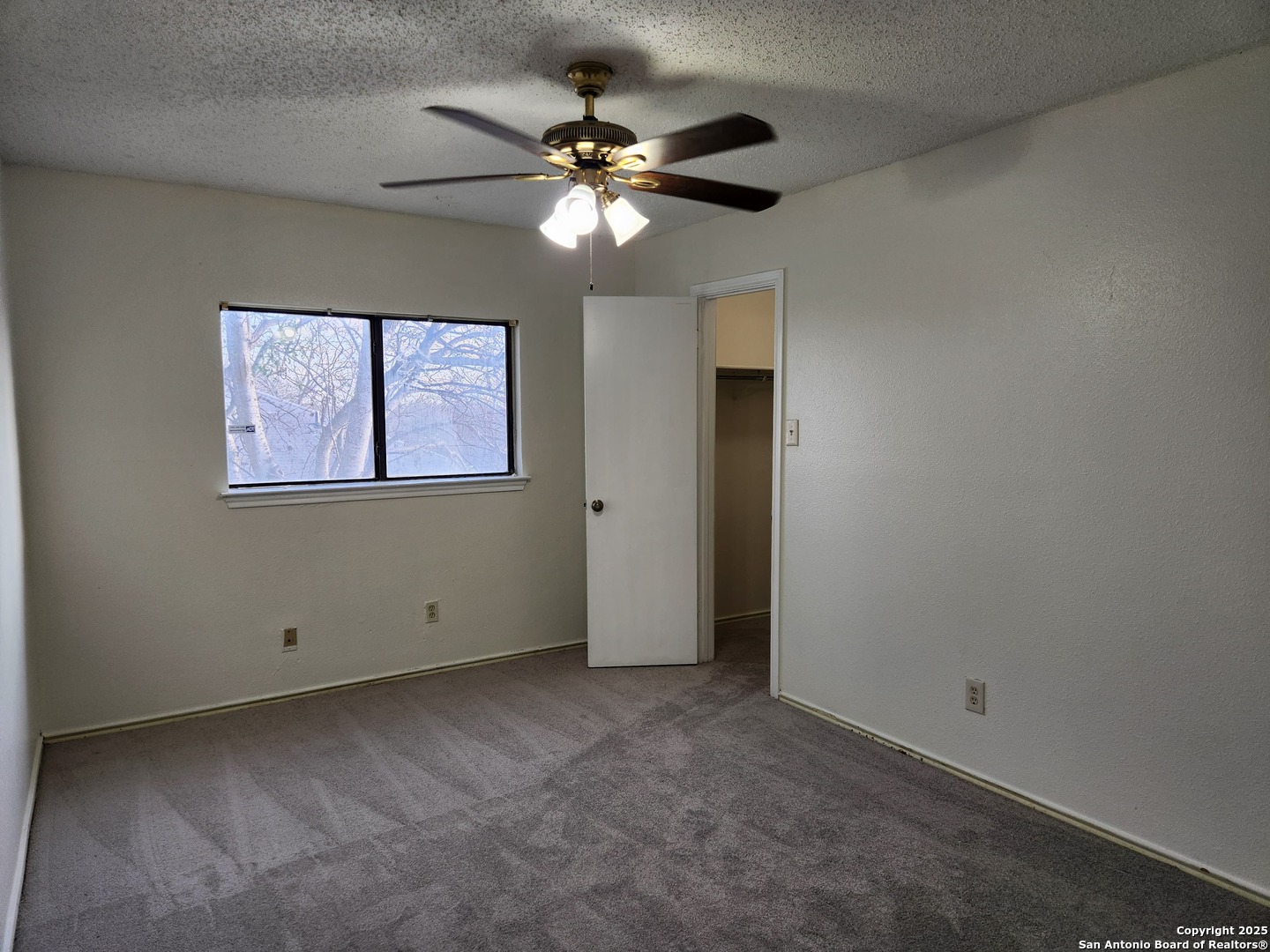 2117 Farmsville San Antonio TX 78245