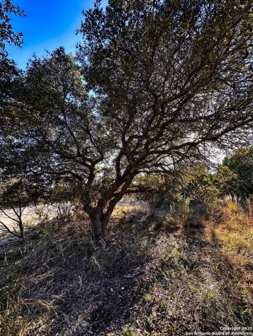 628 Indian Trail Spring Branch TX 78070