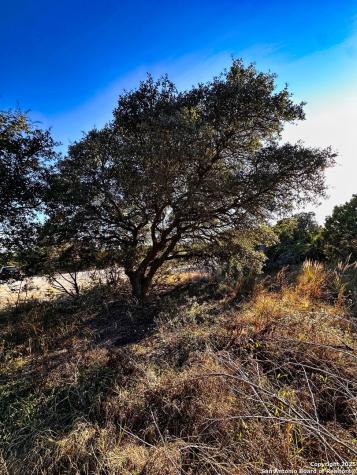 628 Indian Trail Spring Branch TX 78070