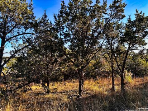 628 Indian Trail Spring Branch TX 78070