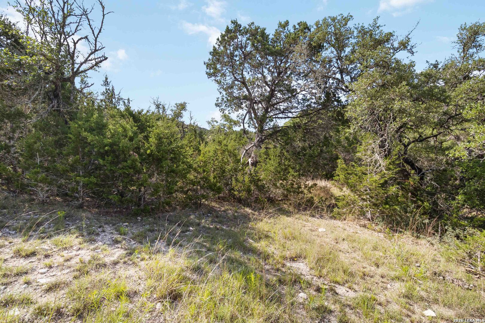 221 Apacheria Pass W Comfort TX 78013