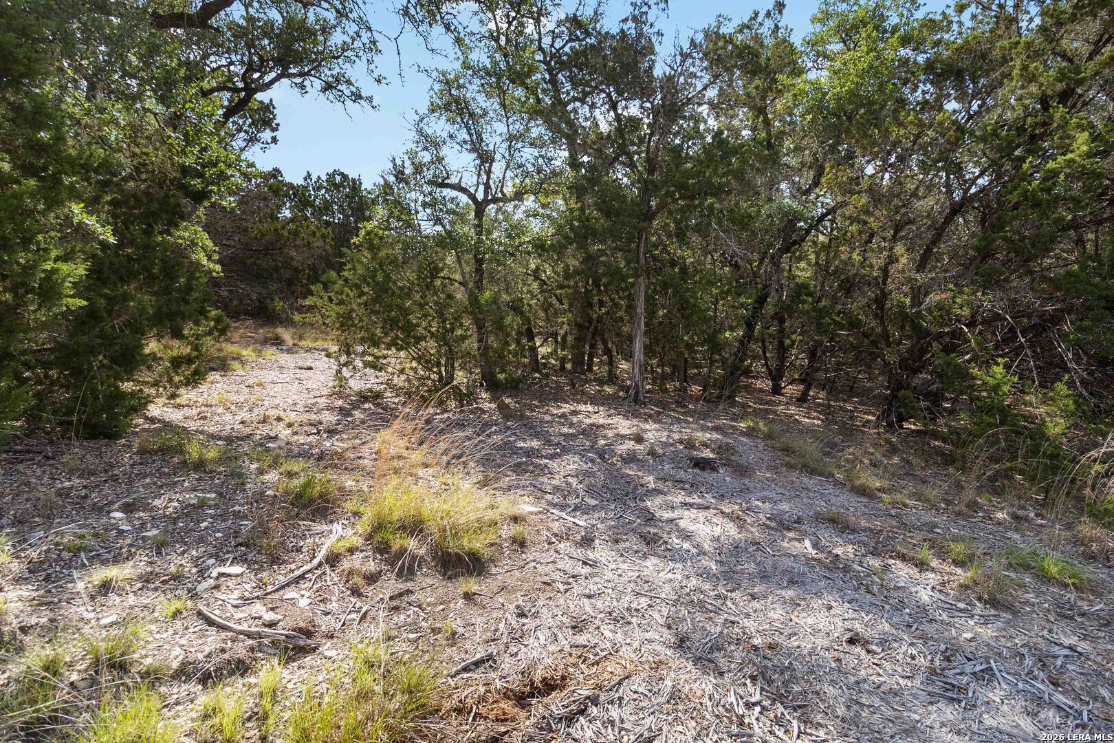 221 Apacheria Pass W Comfort TX 78013