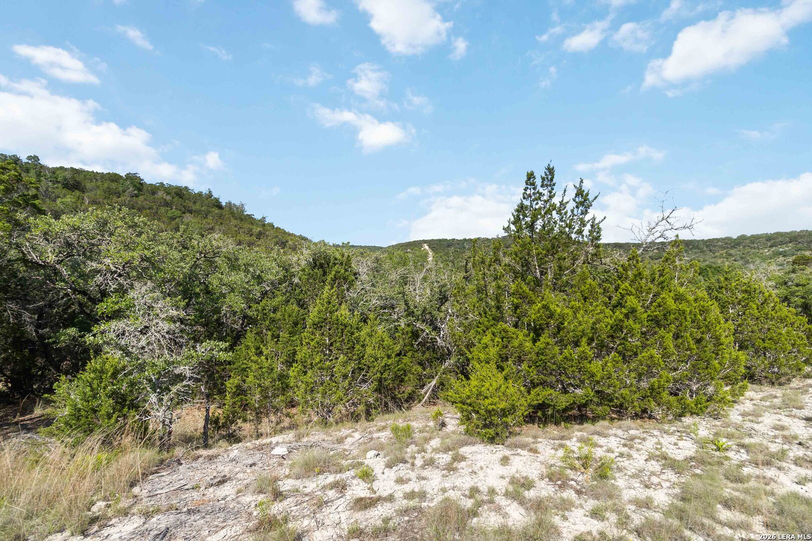 221 Apacheria Pass W Comfort TX 78013