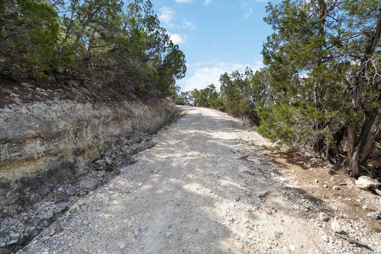 221 Apacheria Pass W Comfort TX 78013