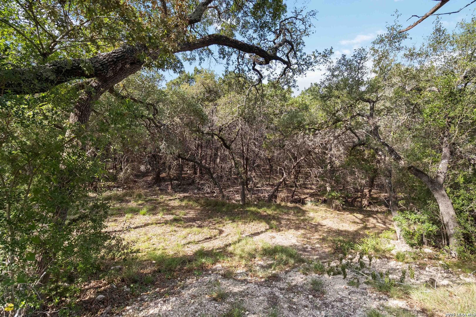 221 Apacheria Pass W Comfort TX 78013