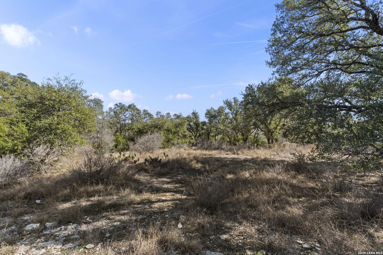 31045 Johnson Way Bulverde TX 78163