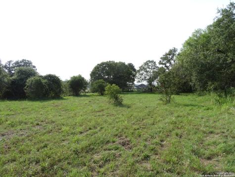 233 Bluffcreek Drive La Vernia TX 78121