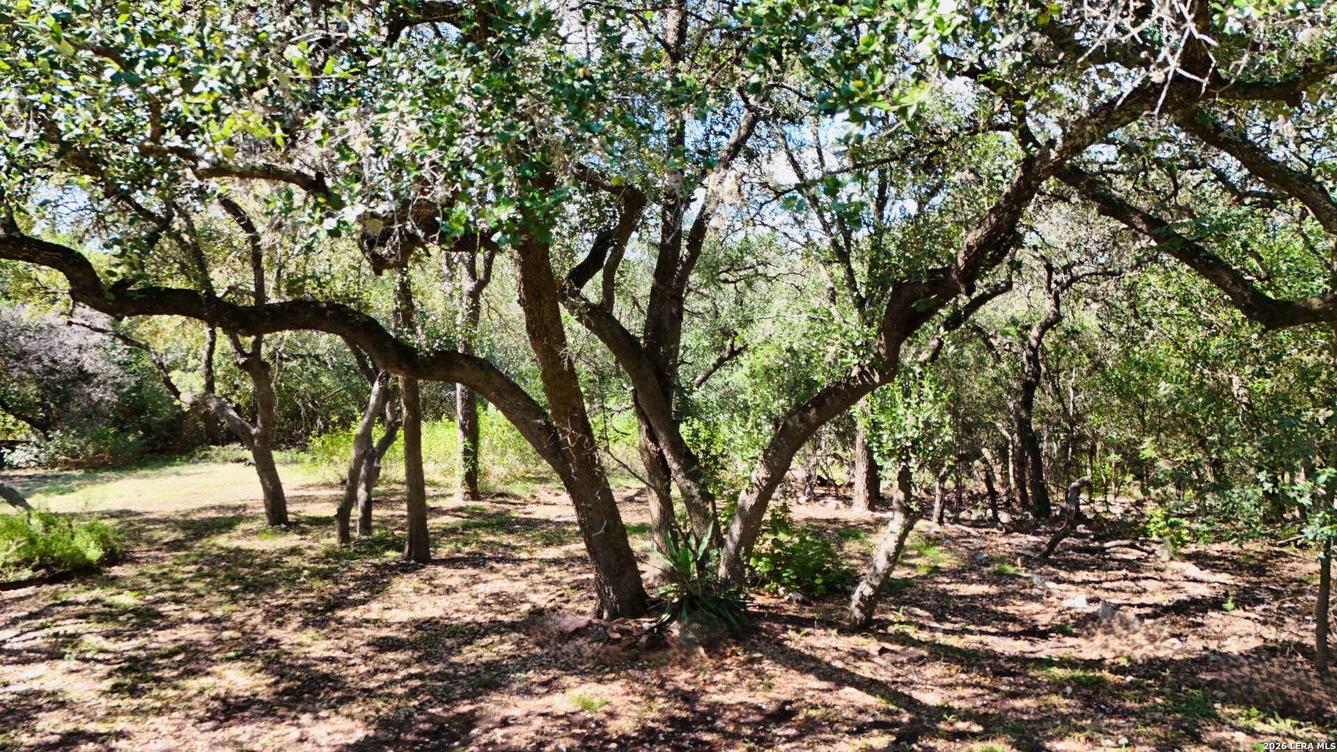 103 Tuscarora Trail Shavano Park TX 78231