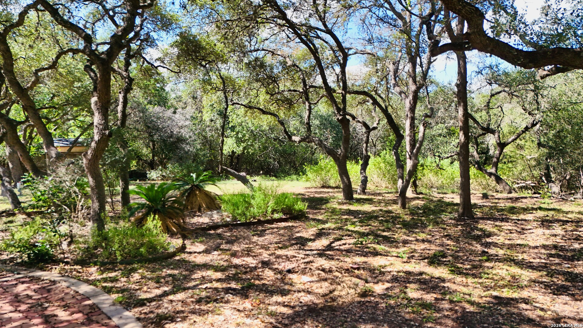 103 Tuscarora Trail Shavano Park TX 78231