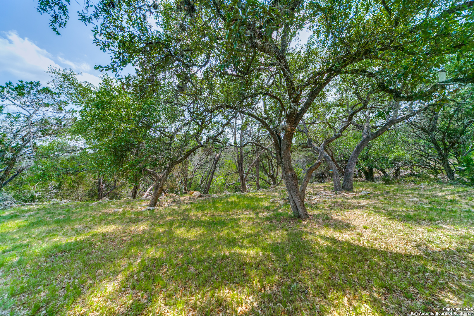 356 Warbler Spring Branch TX 78070