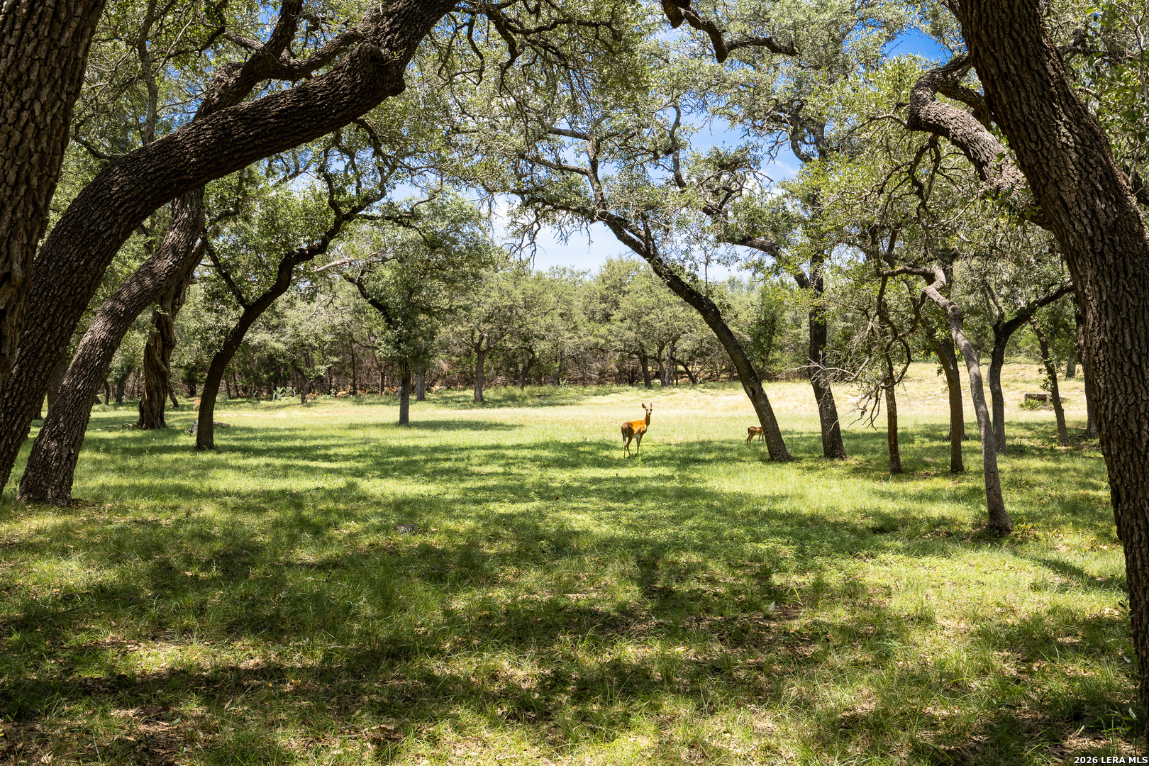 368D Fm 1376 Boerne TX 78006