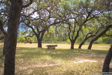 950 River Road Utopia TX 78884