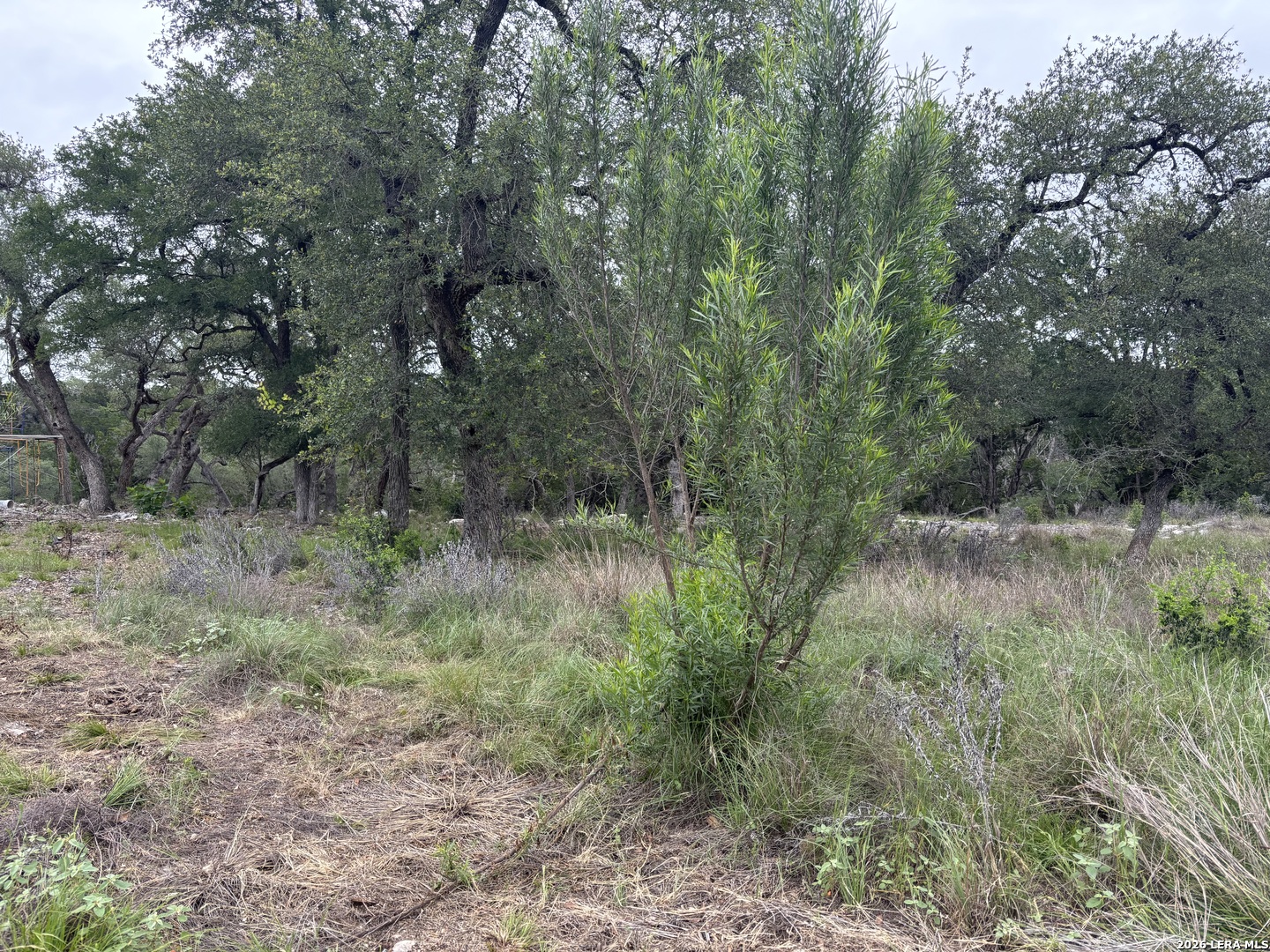 1464 Stahlman Way New Braunfels TX 78132