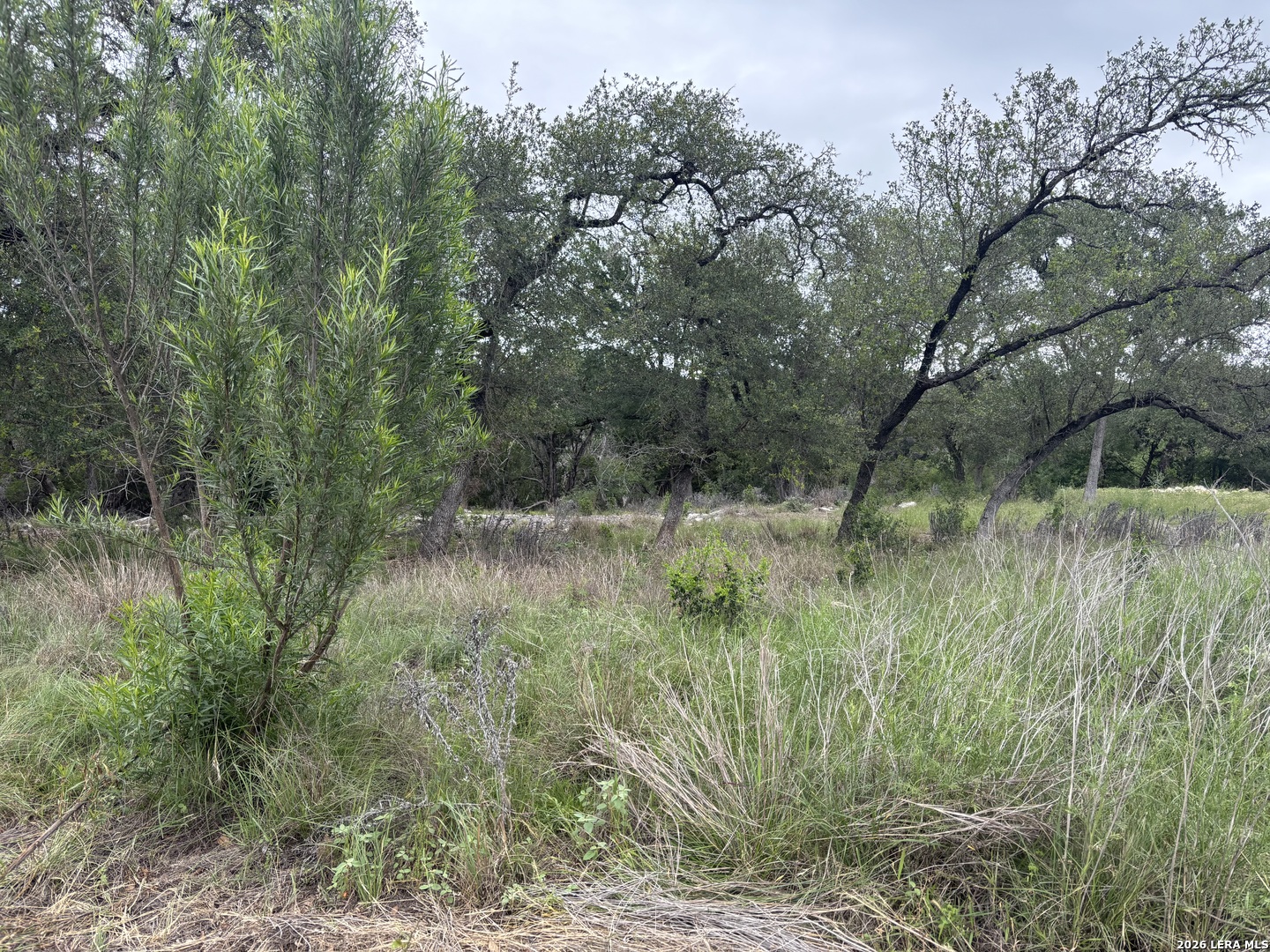 1464 Stahlman Way New Braunfels TX 78132
