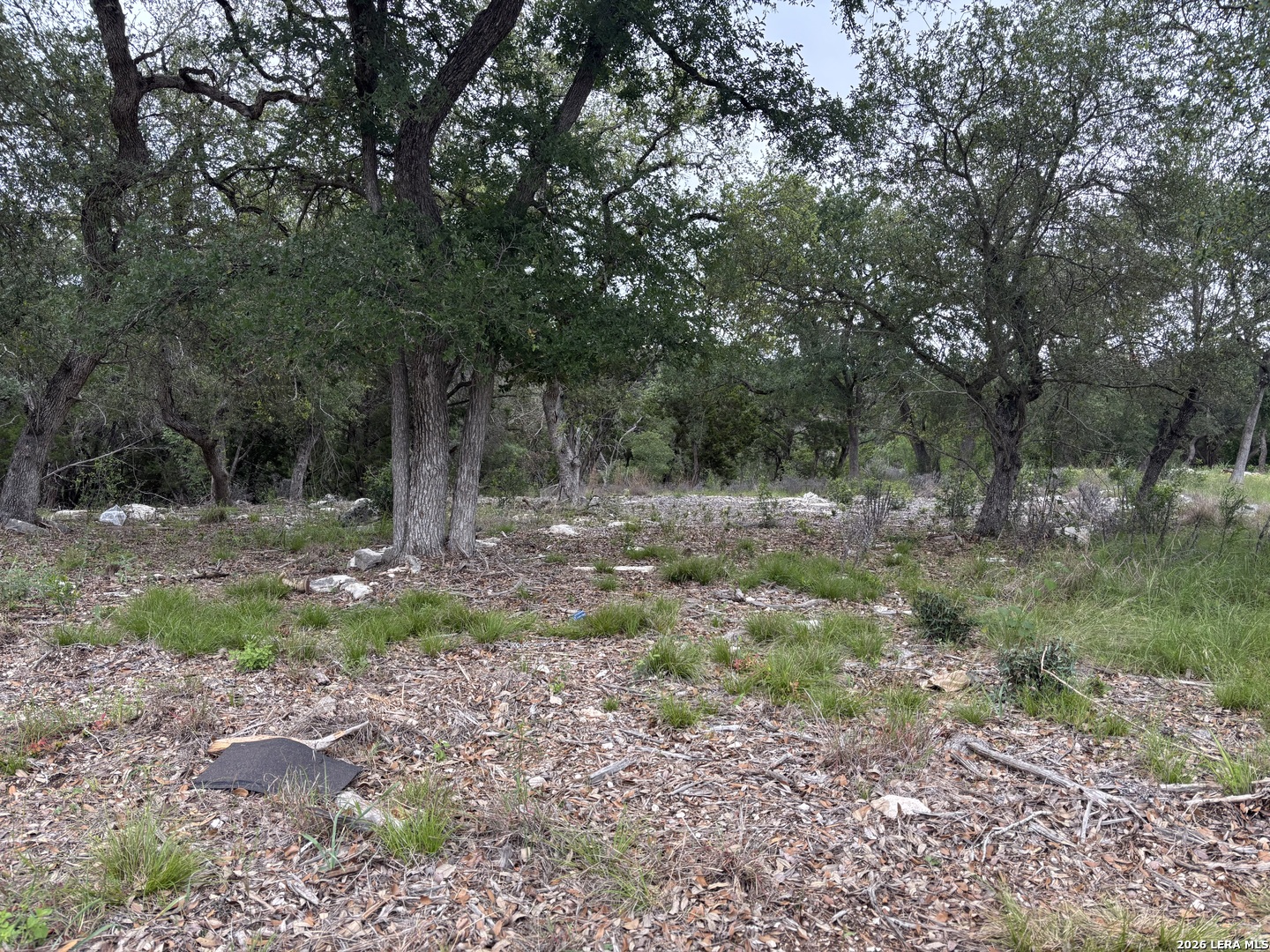 1464 Stahlman Way New Braunfels TX 78132