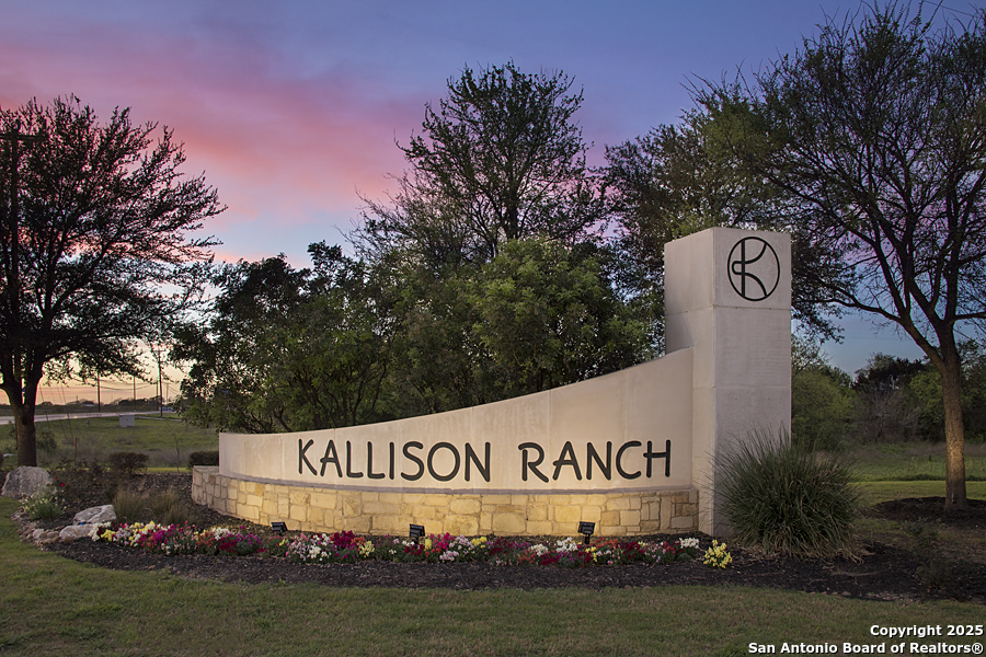8710 Kallison Arbor San Antonio TX 78254