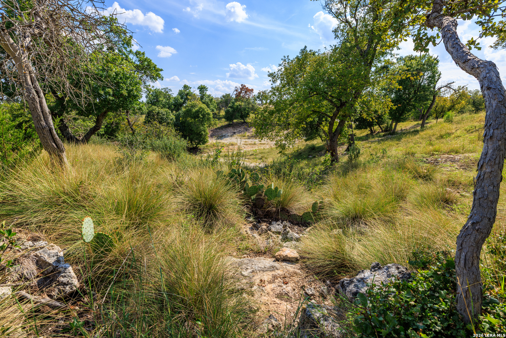 Lot 7 Longview Drive Fredericksburg TX 78624