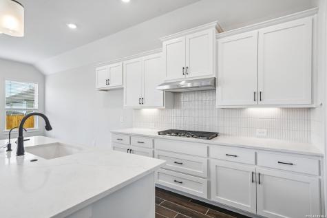 3727 Moru Oak Drive Seguin TX 78155