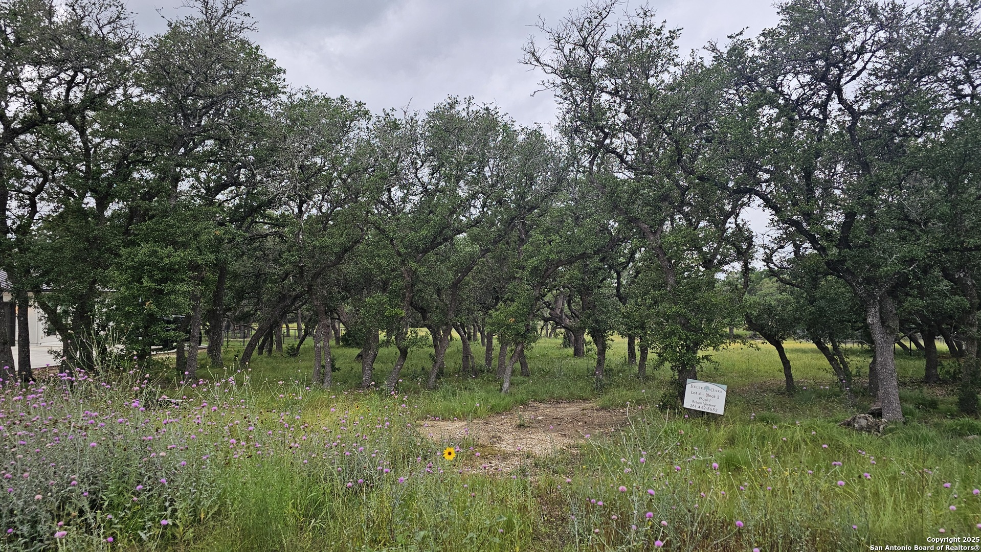 874 Maximino Ridge Bulverde TX 78163