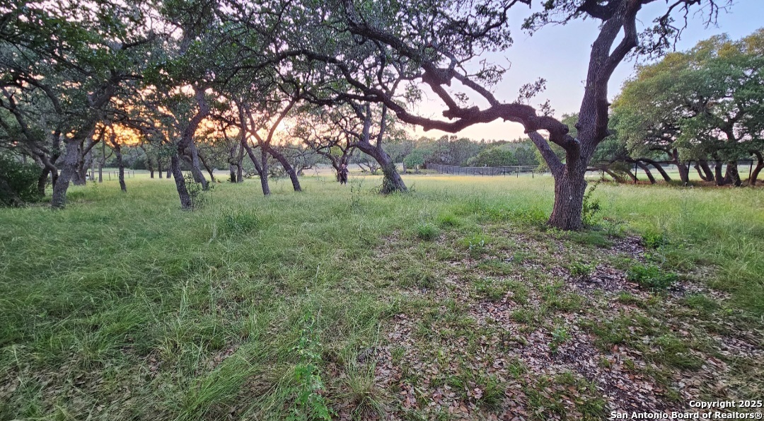 874 Maximino Ridge Bulverde TX 78163