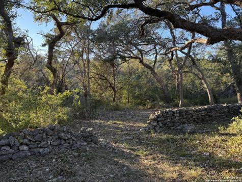 1041 Homestead Ridge New Braunfels TX 78132