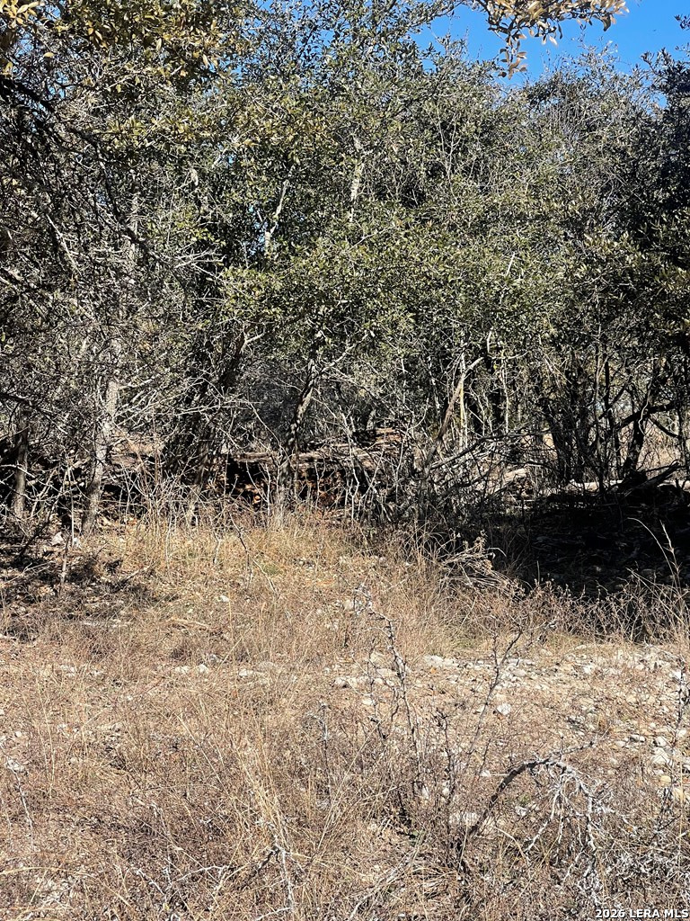 Lot #12 Enchanted River Drive Bandera TX 78003
