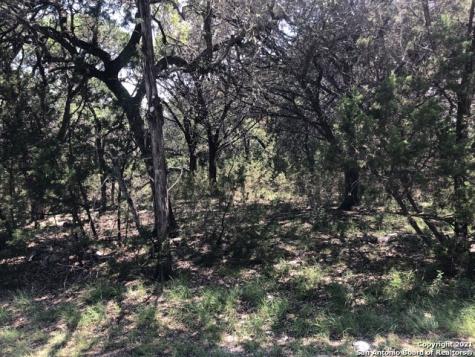 446 W Overlook Drive Canyon Lake TX 78133