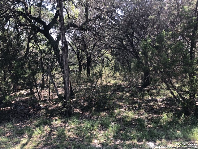446 W Overlook Drive Canyon Lake TX 78133