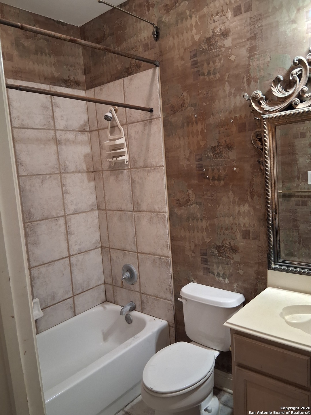 13306 Ming Heights San Antonio TX 78230