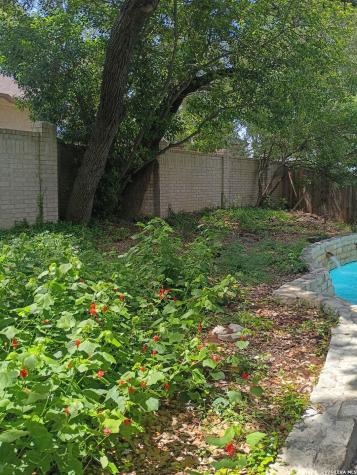 13306 Ming Heights San Antonio TX 78230