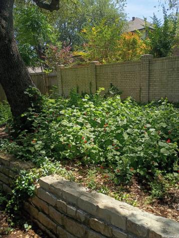 13306 Ming Heights San Antonio TX 78230
