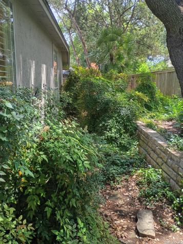 13306 Ming Heights San Antonio TX 78230