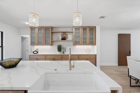319 E Terra Alta San Antonio TX 78209