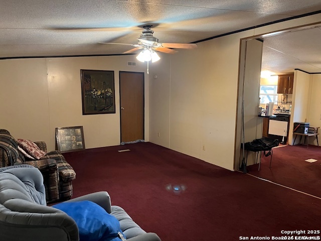 326 W Pr 324 Jourdanton TX 78026