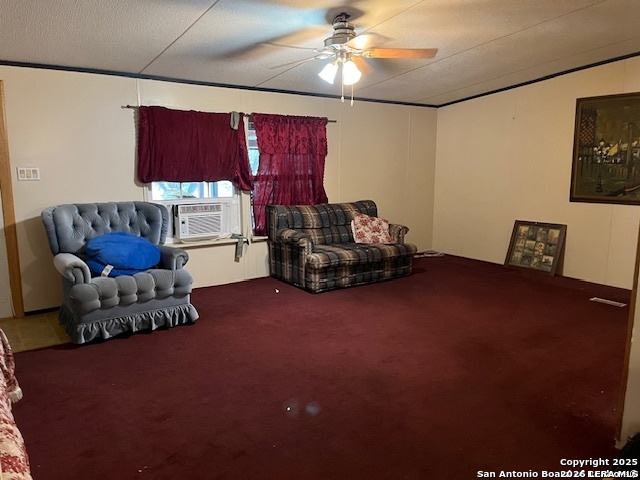 326 W Pr 324 Jourdanton TX 78026