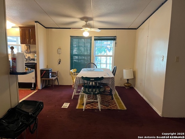 326 W Pr 324 Jourdanton TX 78026